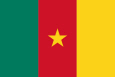 Cameroon Nasionale vlag