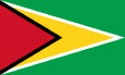 圭亚那 国旗